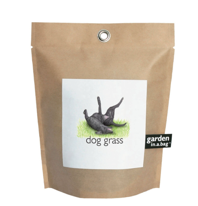 Potting Shed Creations - Garden in a Bag - Dog Grass