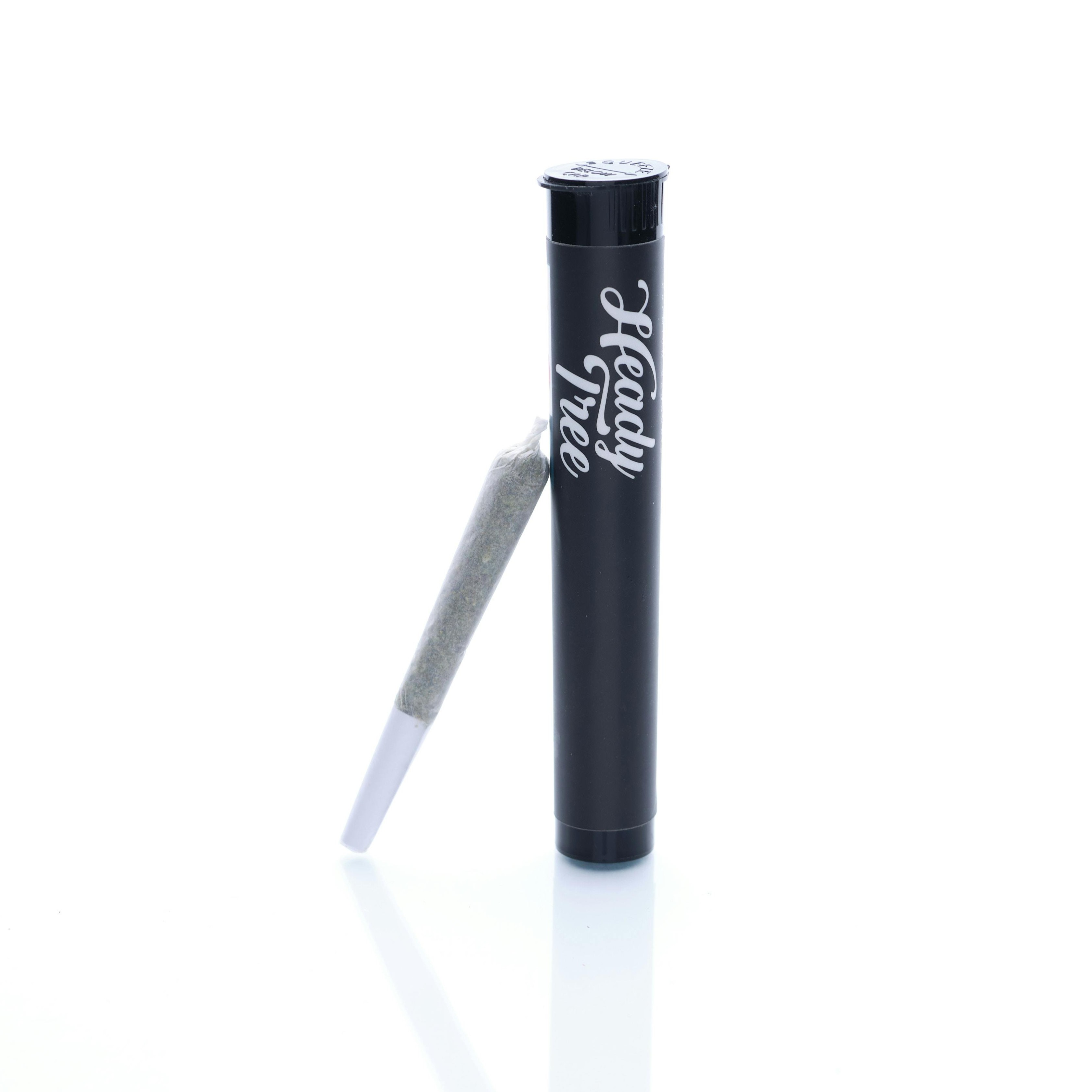 Heady Tree - Pineapple Slushee Preroll - 1g