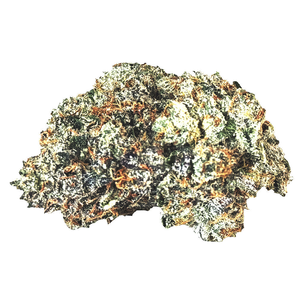 MTL Cannabis - Gas n' Up (Venom OG x Humboldt OG) - Indica