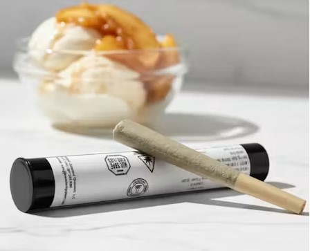 Apple Ice Cream