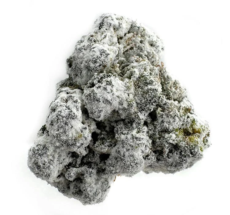Snowballs Fresh Lemon Beltz