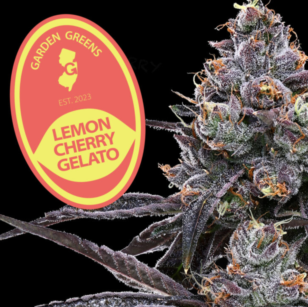 Flower - Lemon Cherry Gelato - Garden Greens - REC