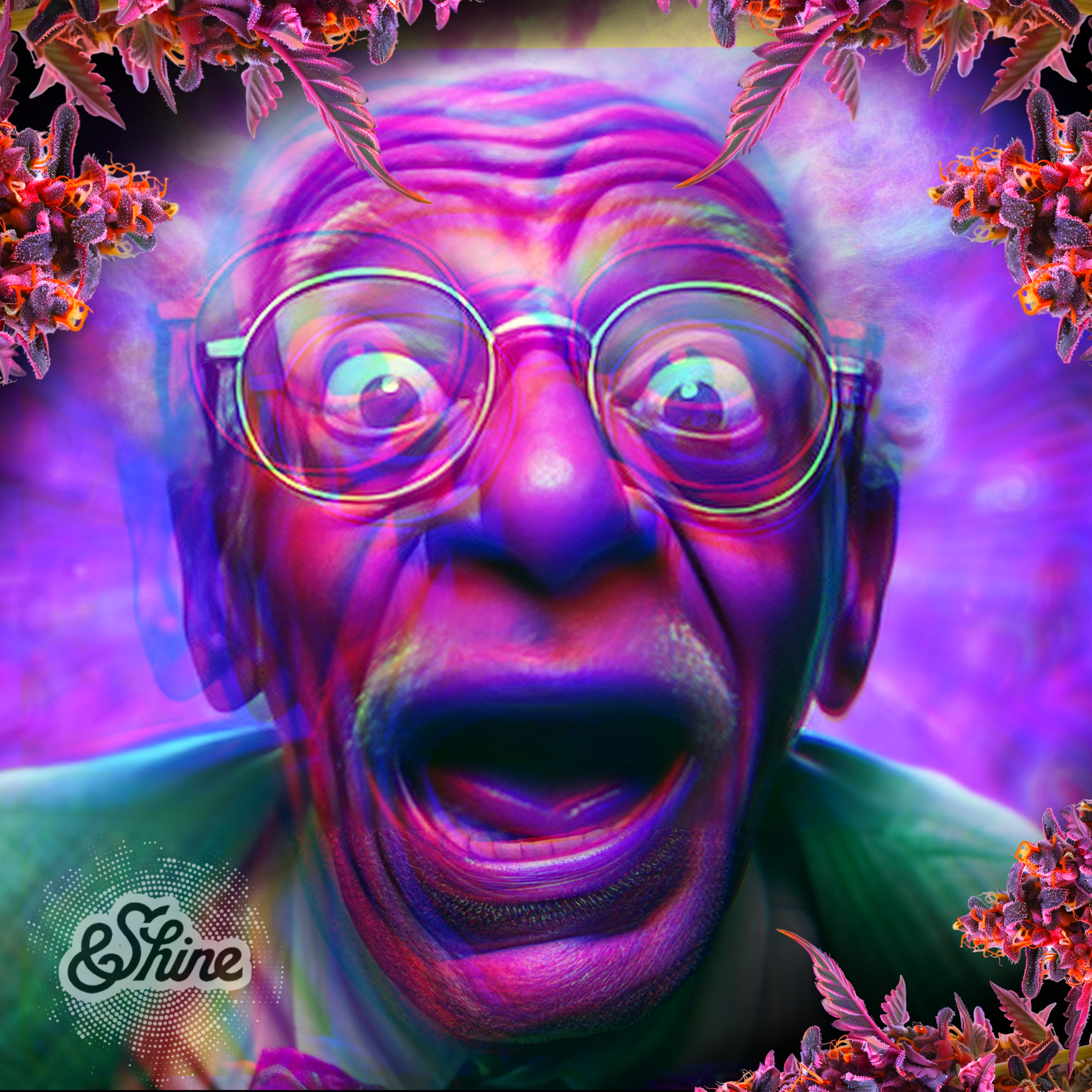 &Shine |Grand Daddy Purple cart .