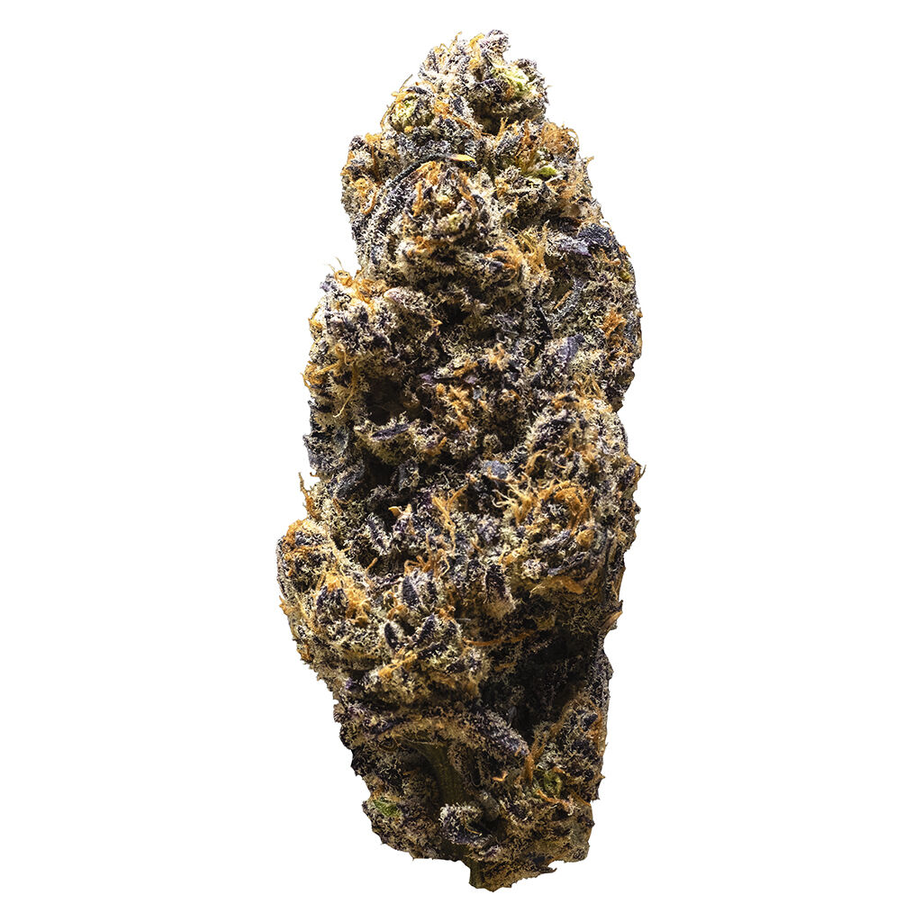 3rd Coast Genetics - Frozen Cola - Indica - 7g