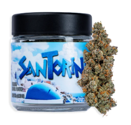 Seed Junky Santorini Hybrid Flower