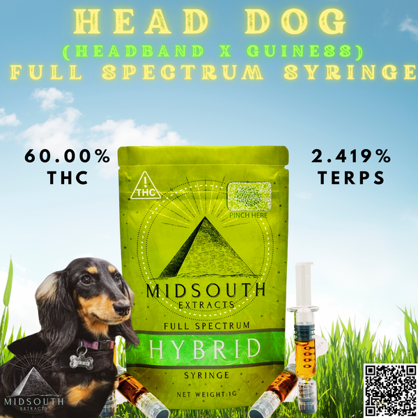 1g | Head Dog | Syringe