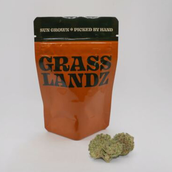 Grasslandz | Glue 31 1 ct 3.5 Grams - Glue 31