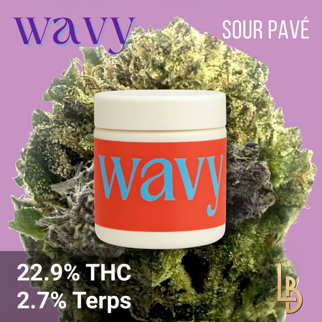 Sour Pavé Hybrid Flower