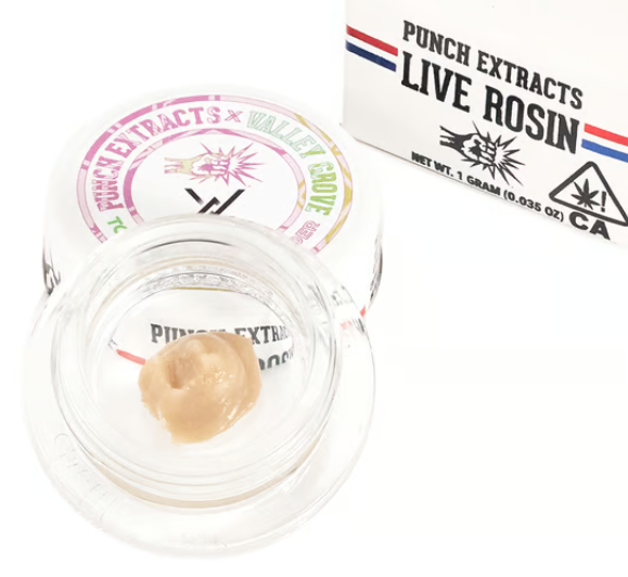 Punch Extracts Too Much Gak Tier 3 Live Rosin Badder