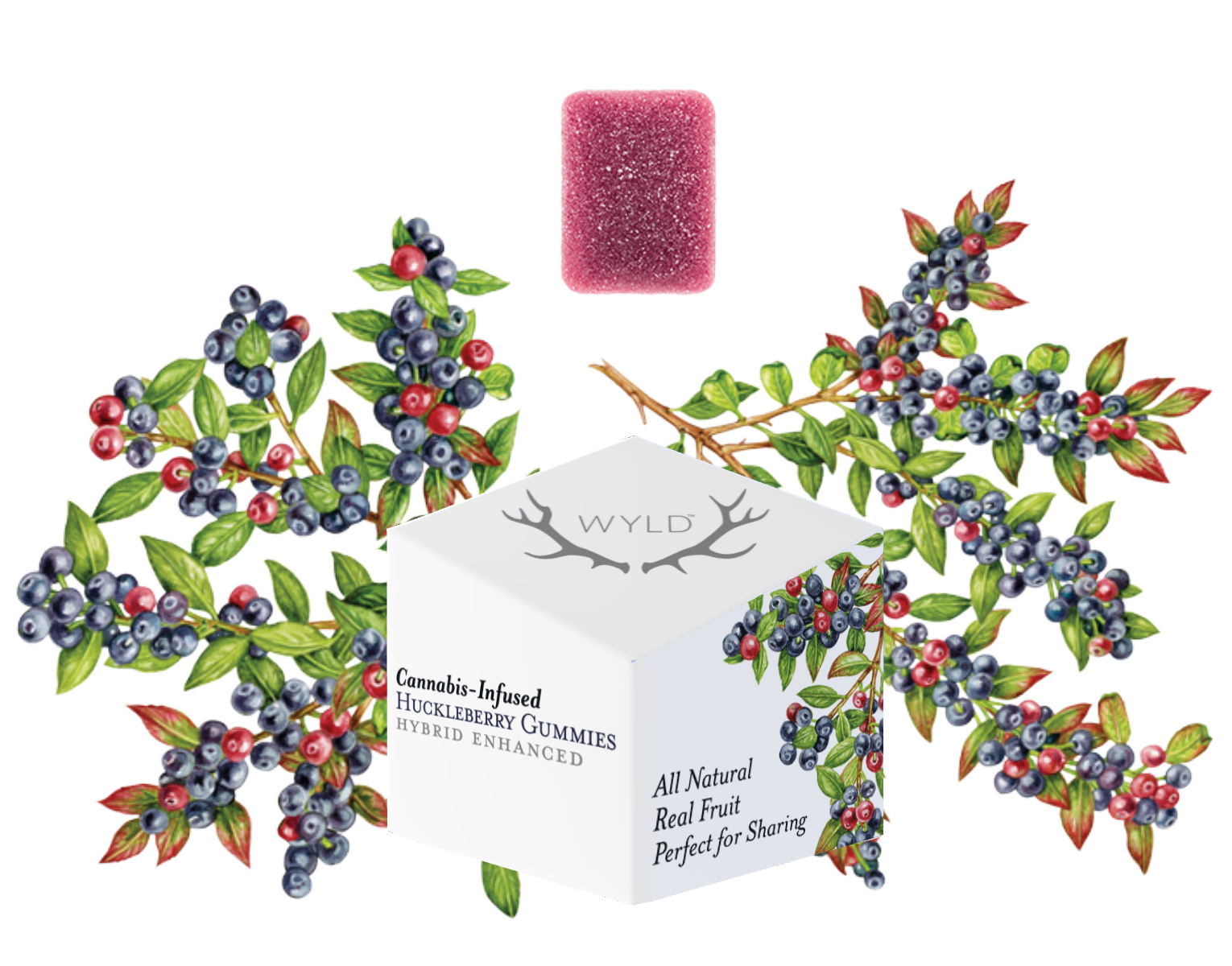 Wyld: 100mg Huckleberry Gummies - 40g