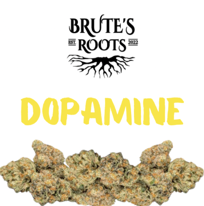 Flower - Dopamine - Brute's Roots - REC