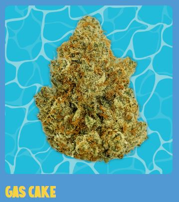 PRE-PACK FLOWER GAS CAKE (H) 14G