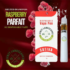 Vape Pen | Raspberry Parfait | Distl Dispo | Sativa - 1G
