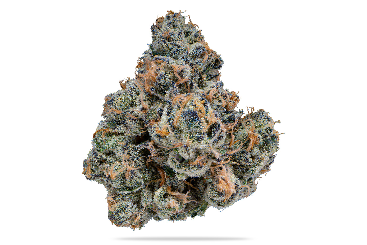 Gastro Pop (3.5G)-Platinum
