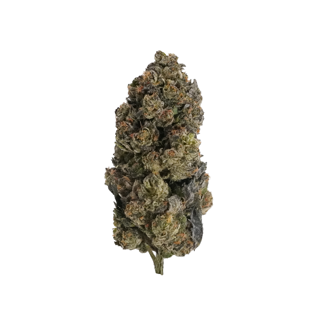 A-ye-li | Sherb Cream Pie | 3.5 Flower[F-55-56]