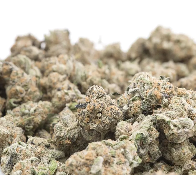 Pharmacann | POP | Permanent 91 Pie (H) - 1oz in Thornton