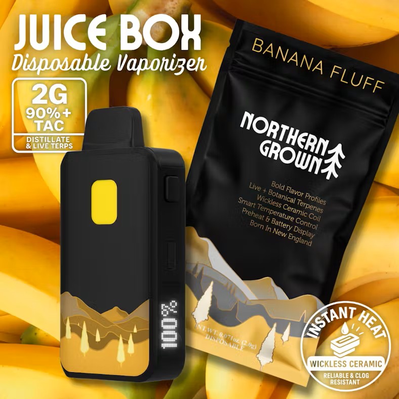 2G Northern Grown Disposable - Banana Fluff
