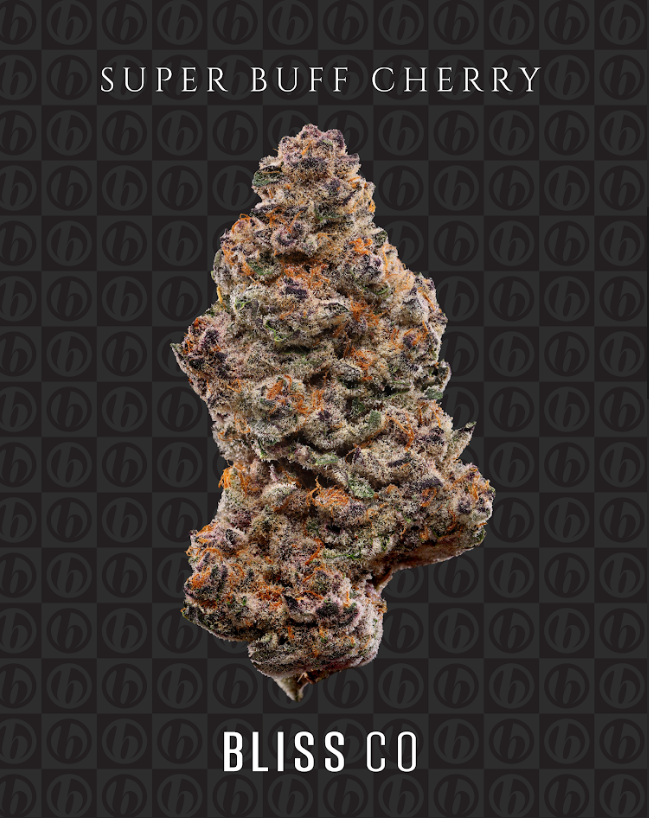 Bliss Co  Tops | Super Buff Cherry |