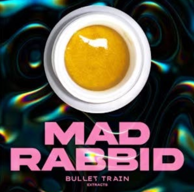 Mad Rabbid - Bullet Train