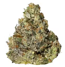 Fresh | Street Songs