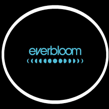 Supreme Lee Hi 0.6g 2pk