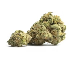 (2) DC's Finest: Master Kush (I)