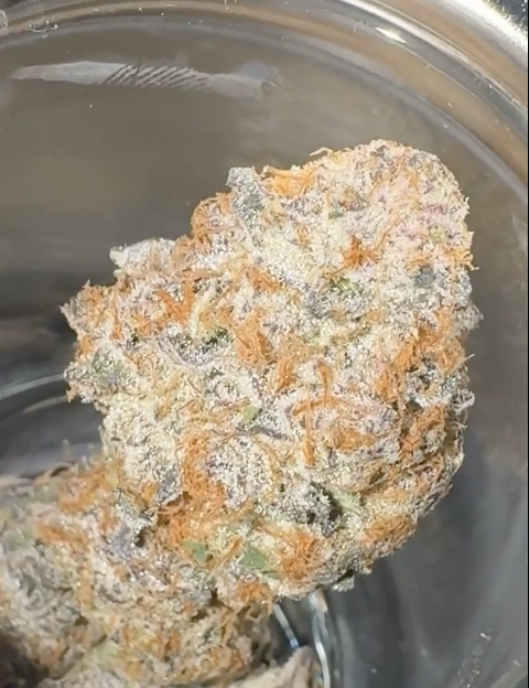 Parks Grove - The Keeper Flower - 3. Flower