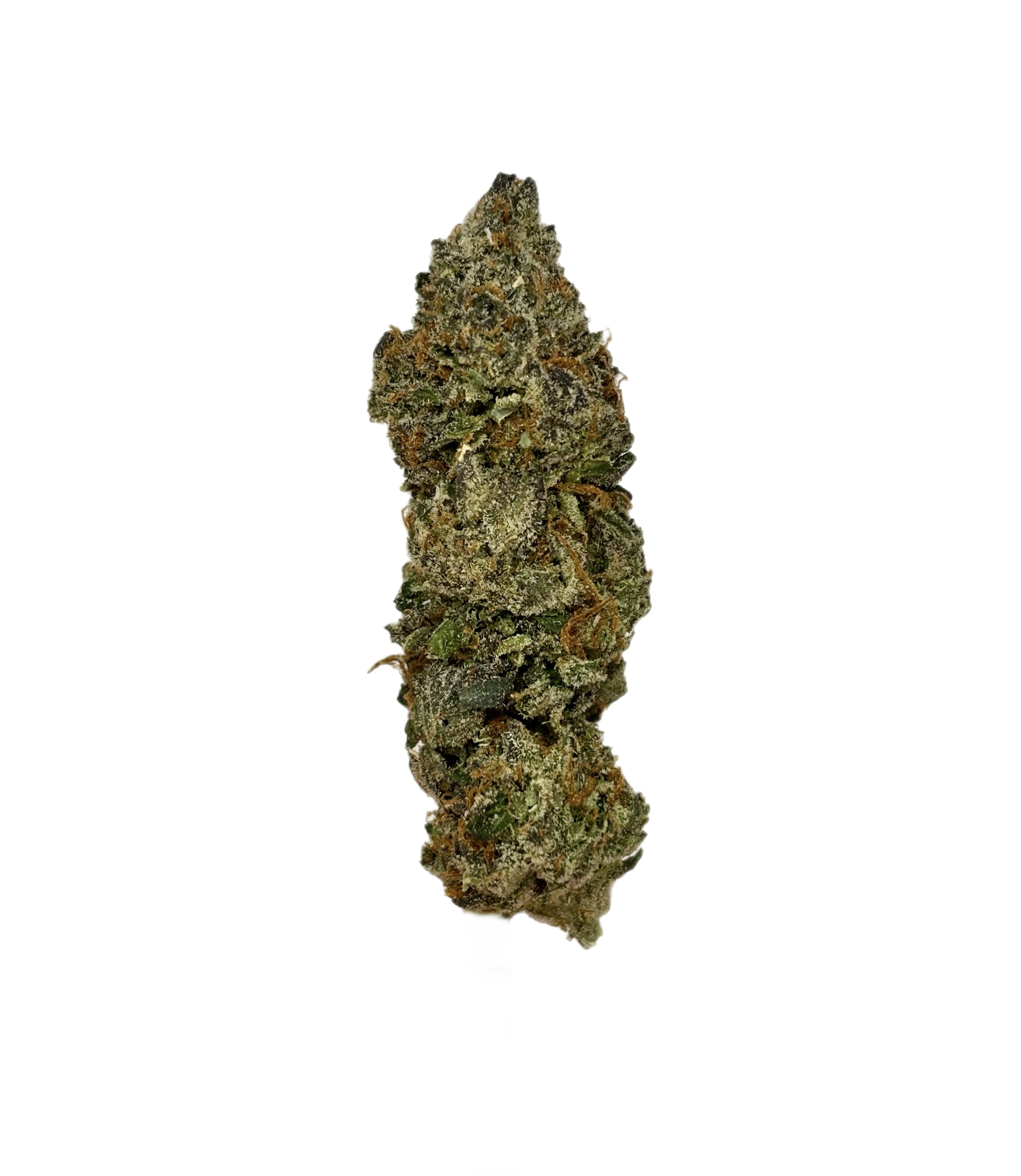 Astro Gas | Bulk Flower | Yellow Tier