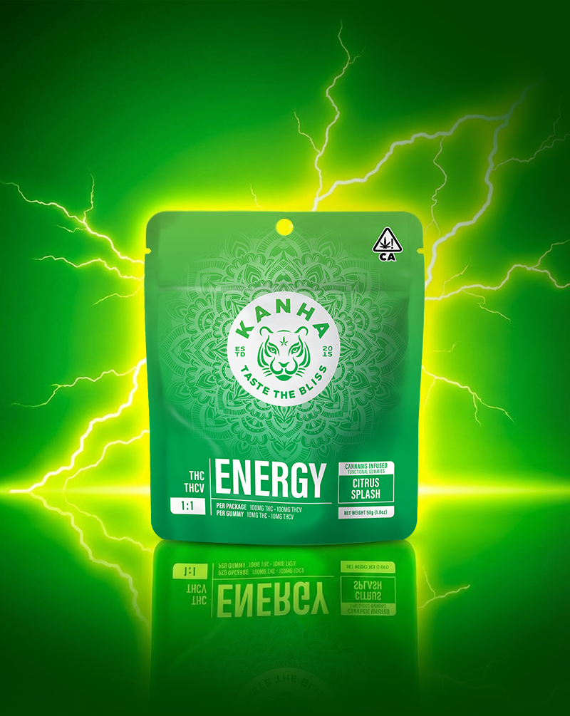 KANHA — Fx Energy 10