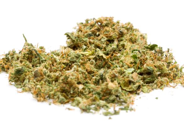 Mid Bad Dog Mid Shake