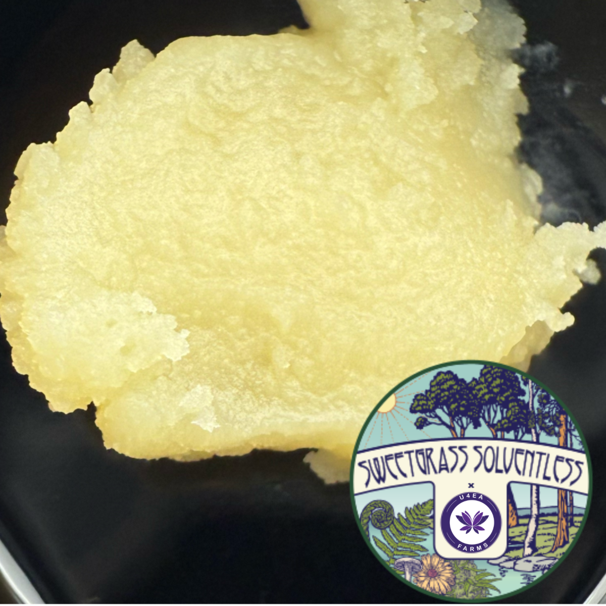 Papaya Splash | Live Rosin | 1g product photo