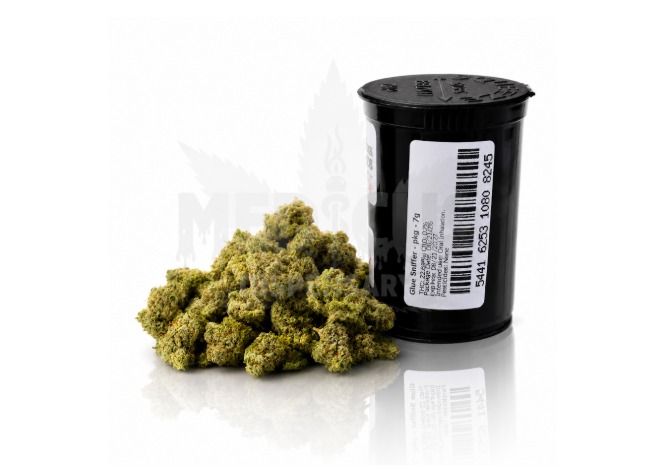 Dr Greens Glue Sniffer