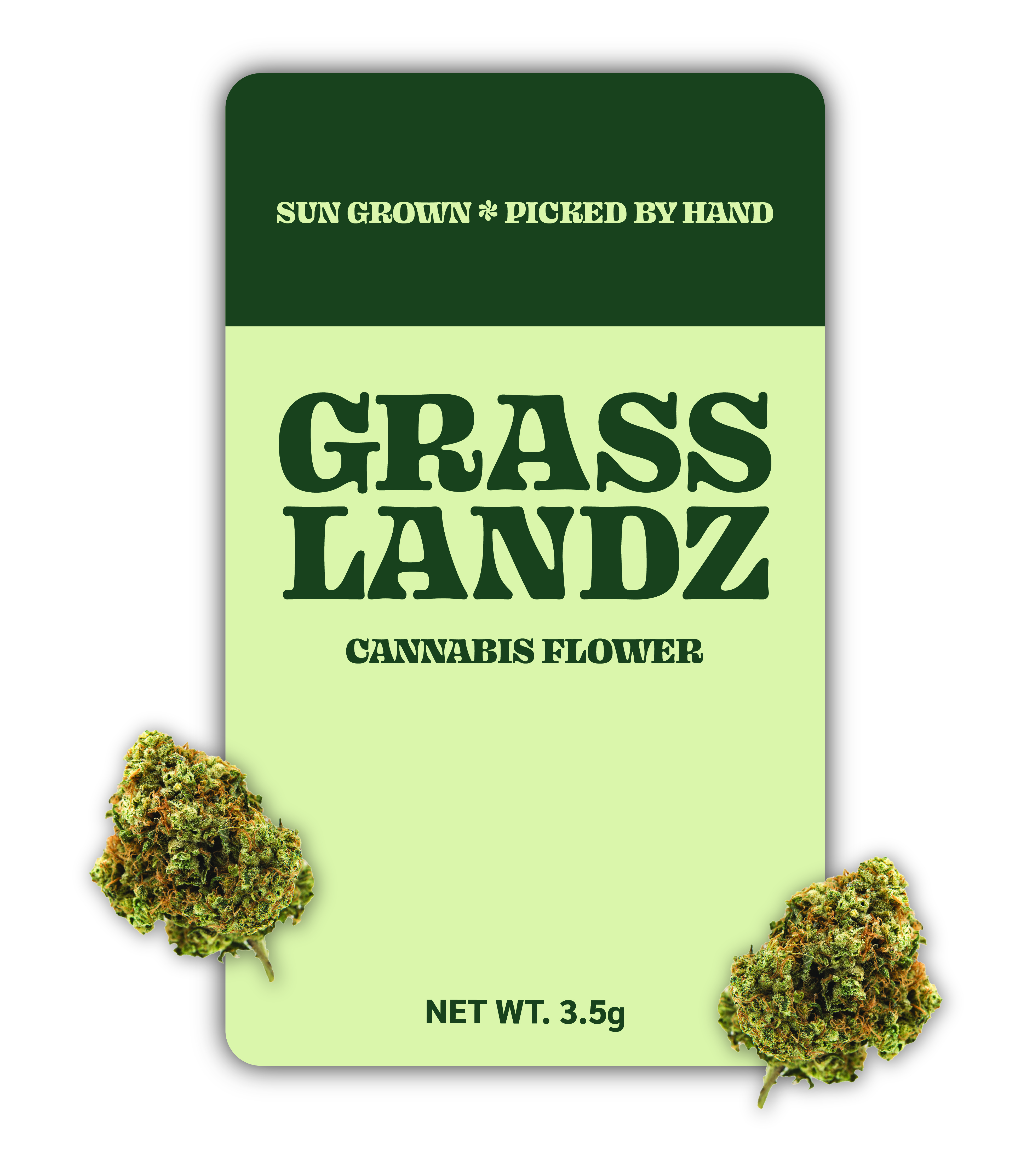 Platinum Lemon Cherry Gelato Hybrid