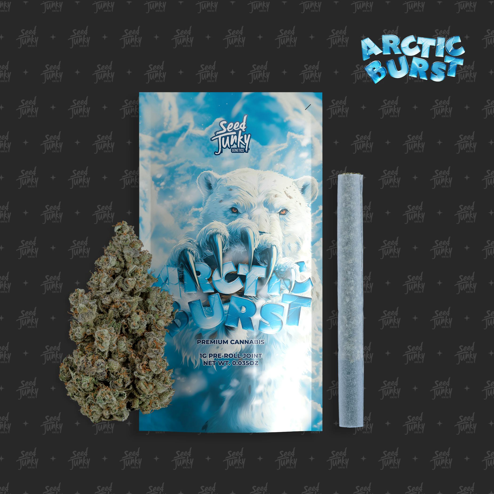 Seed Junky - Arcitc Burst (i) - Pre-roll - 1g