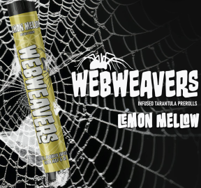 Webweavers | LEMON MELLOW Liquid Diamond/Kief Tarantula