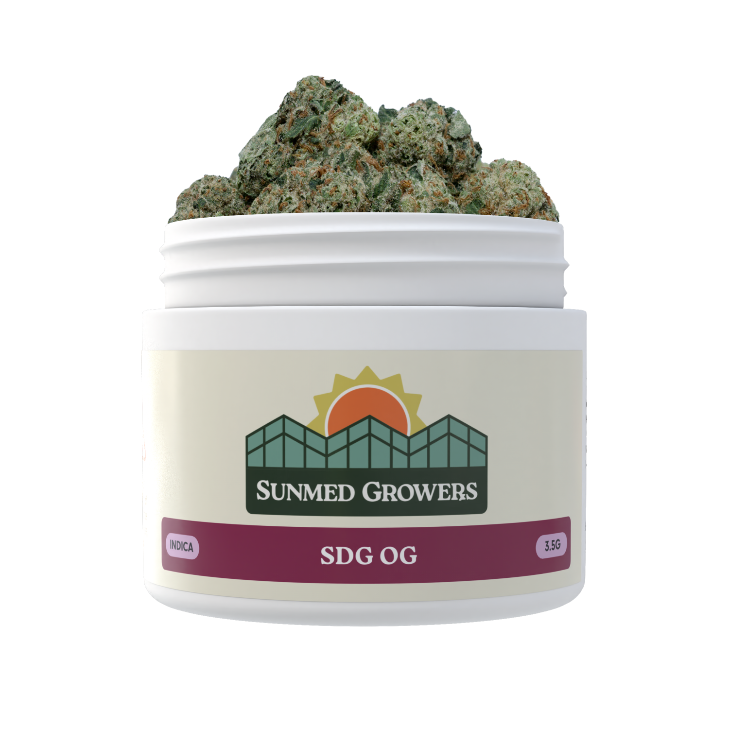 SDG OG 3.5g