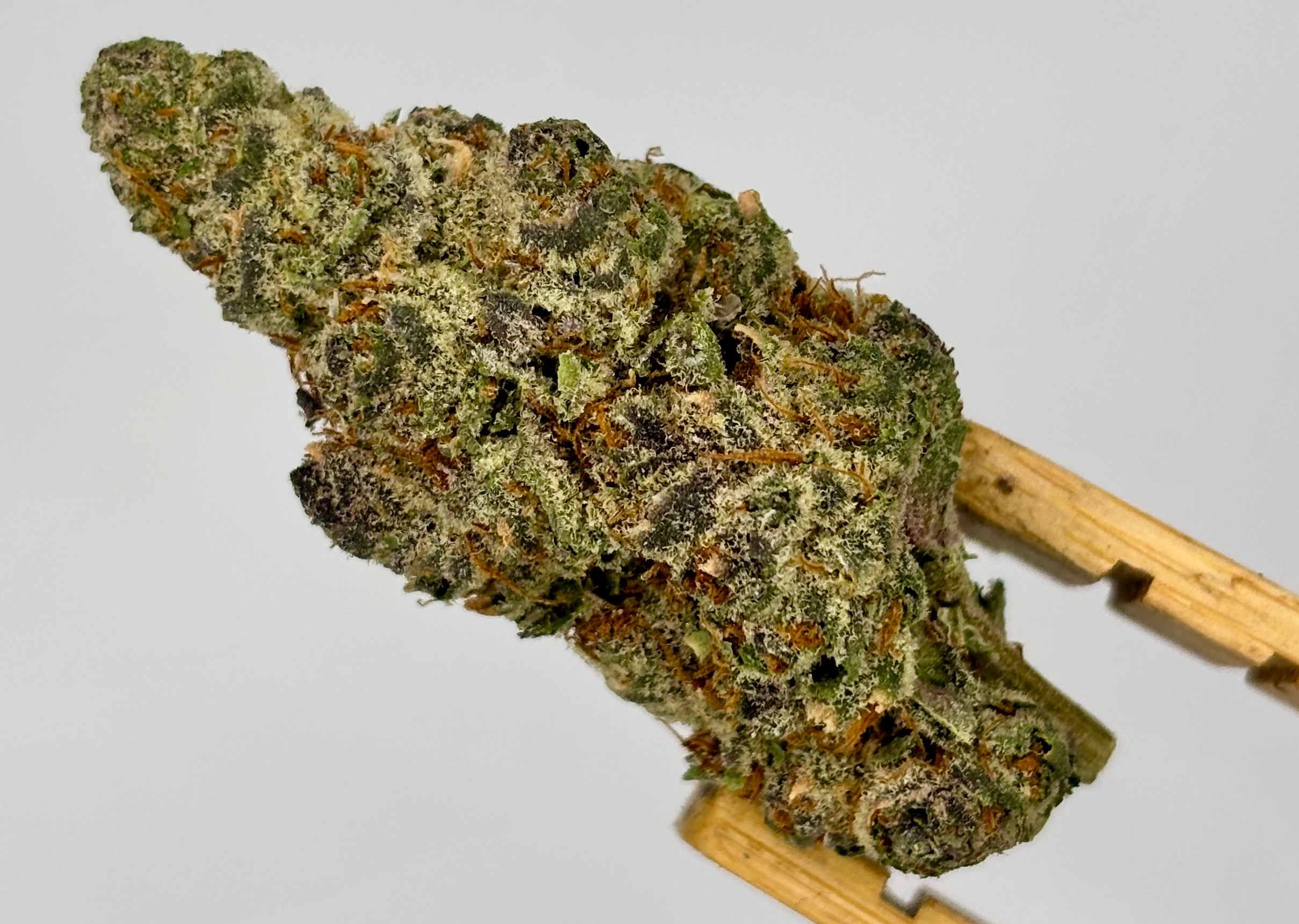 Super Boof Cherry Bulk Flower