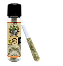 Jordanz Watermelonz Papa Burger Infused