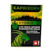 INFUSED PRE-ROLL 5-PACK | LIZARD BURGER / SUB ZERO