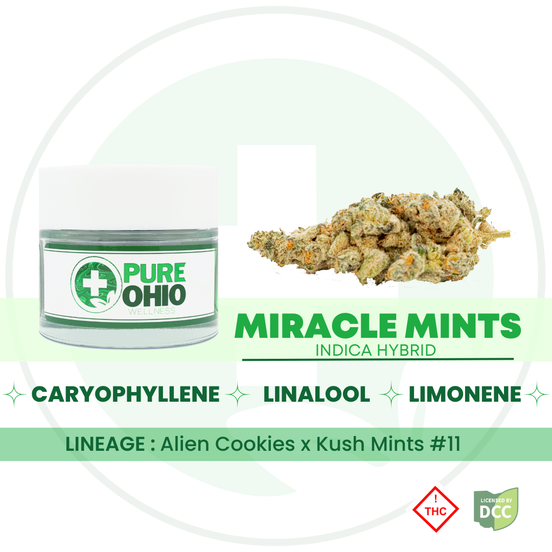 フルーツミント Miracle Mints [2.83g] | Pure Ohio Wellness - Tallmadge