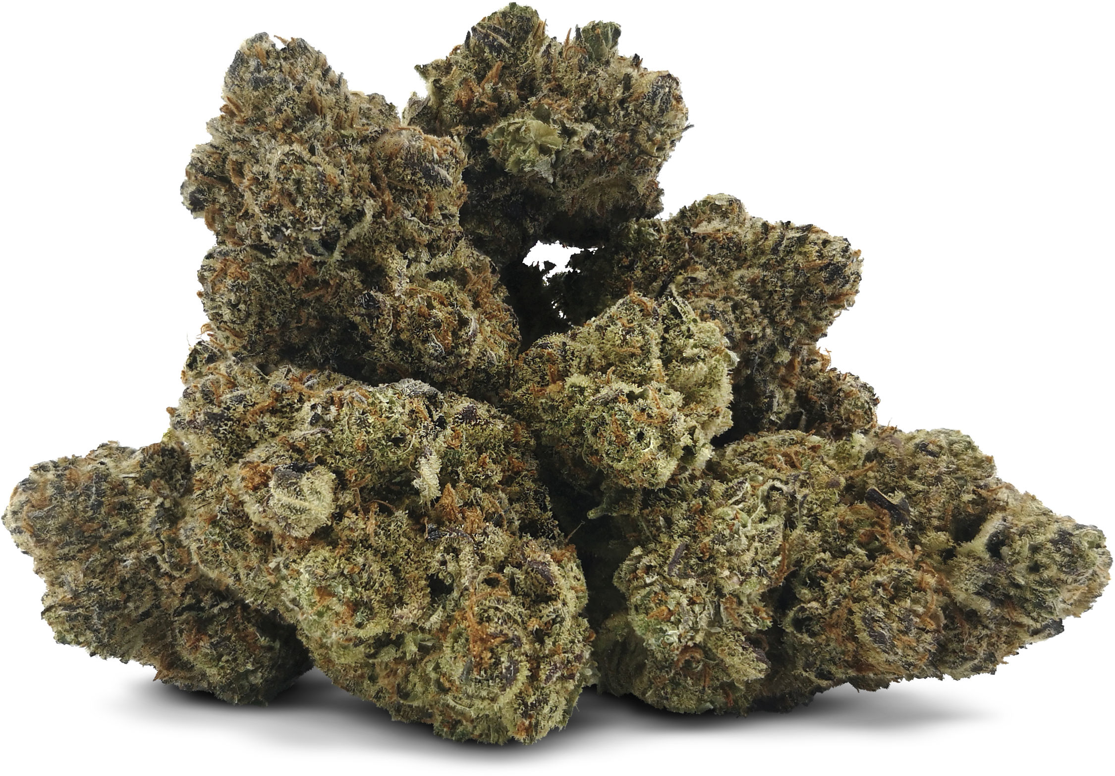 BC 1/2 OZ - Midnight Treat