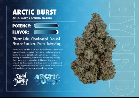 Flower | Pre-Packed | Arctic Burst | 3.5g | Seed Junky