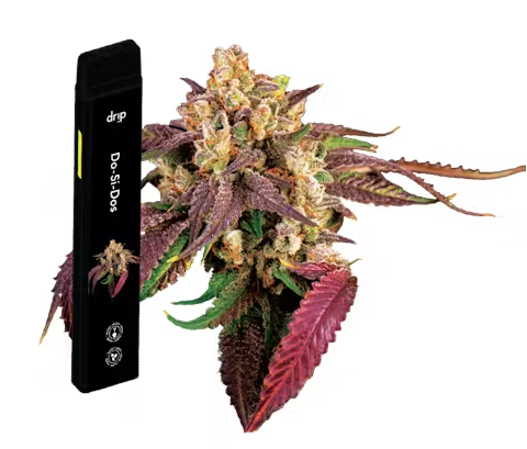 Drip - AIO Vape - Do Si Dos