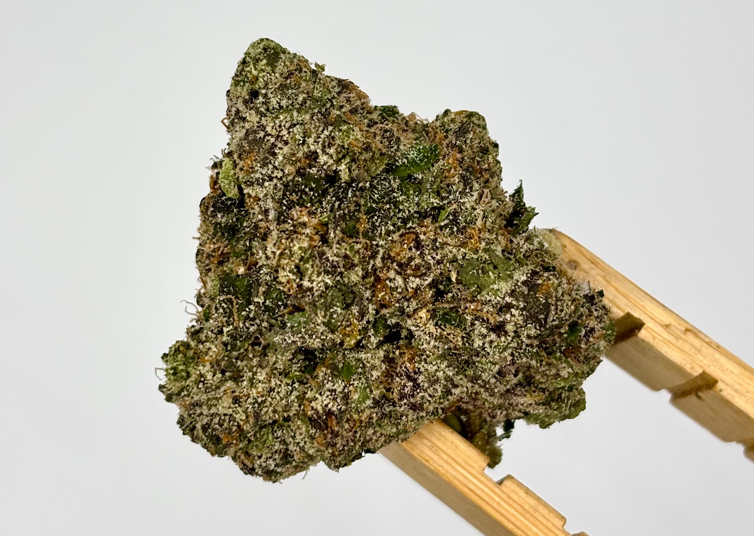 Jelly Runtz | Bulk Flower