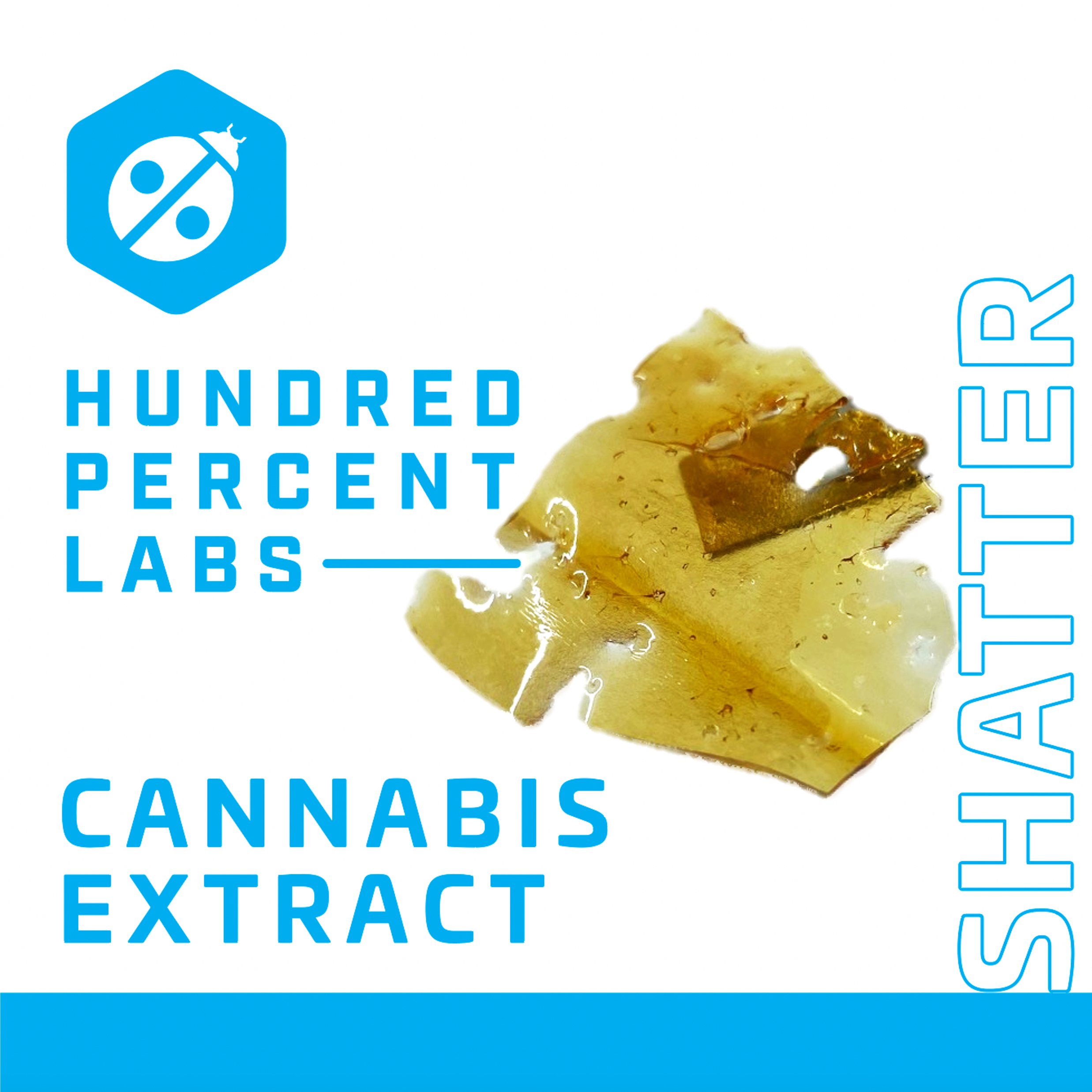 Hundred % Labs |  Mike Drop Shatter 1g