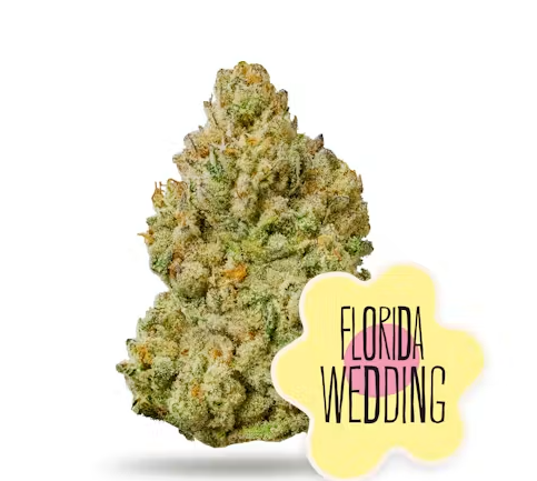 DISTRICT Florida Wedding 10g