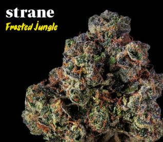 Frosted Jungle | 3.5g