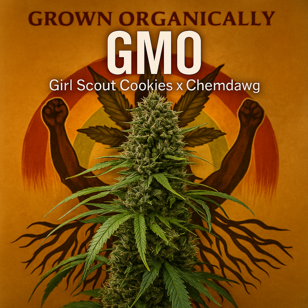 Gmo Garlic, Mushroom, Onion