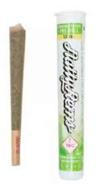 Natty Rems | 1g Joint | Golden Goat (S)