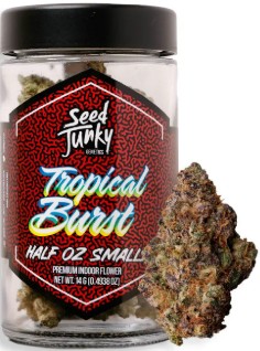 Tropical Burst [S] - Flower